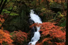 滝川渓谷(福島県)の紅葉 2026