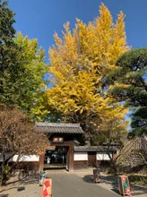 史跡足利学校の紅葉 2026