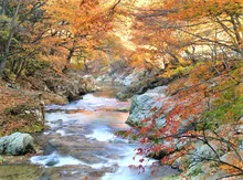 三依地区の紅葉 2026