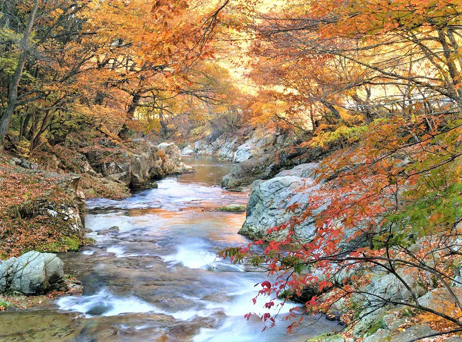 三依地区の紅葉 2026