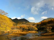光徳園地・光徳沼の紅葉 2026