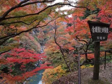 大血川渓谷(金蔵落し)の紅葉 2026