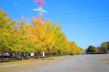 加須はなさき公園の紅葉 2026