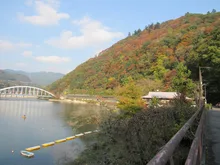 県立相模湖公園の紅葉 2026