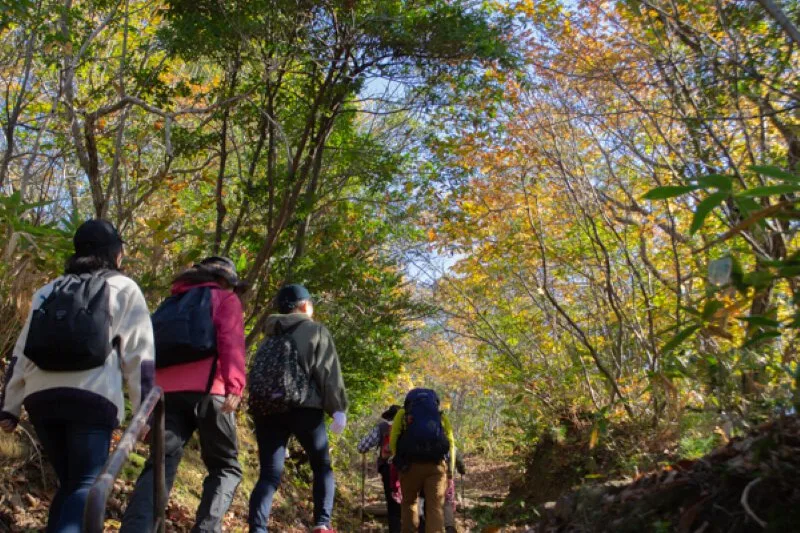 櫛形山脈の紅葉 2026