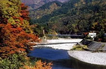 荒川峡もみじラインの紅葉 2026