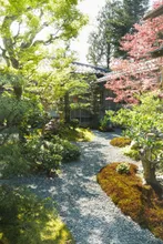 辻家庭園の紅葉 2026