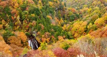 横谷峡の紅葉 2026
