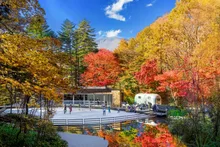 ケラ池スケートリンクの紅葉 2026