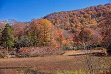 天生県立自然公園の紅葉 2026