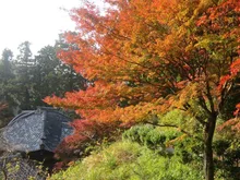 十輪寺の紅葉 2026