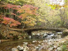 芦津渓谷の紅葉 2026