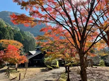ことといの里の紅葉 2026