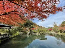 天守閣自然公園の紅葉 2026
