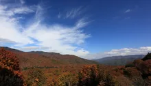 ブナ平の紅葉 2026