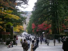 日光の社寺の紅葉 2026