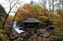 憾満ヶ淵の紅葉 2026