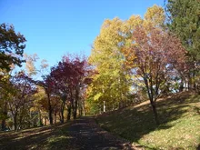 小樽公園の紅葉 2026