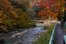 四万温泉の紅葉 2026