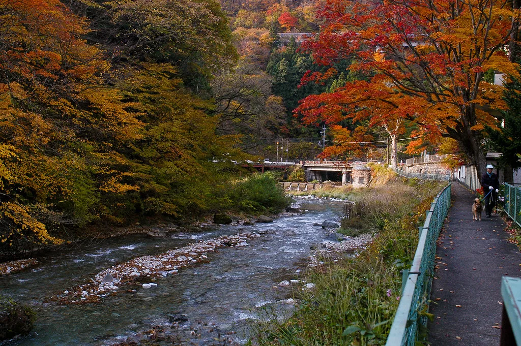 四万温泉の紅葉 2026