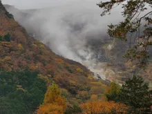 大涌谷の紅葉 2026