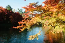 軽井沢(雲場池)の紅葉 2026
