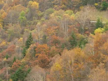 入笠山の紅葉 2026
