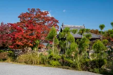 鷹峯(源光庵)の紅葉 2026