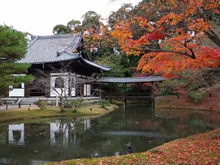 東山(高台寺)の紅葉 2026