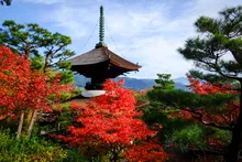 常寂光寺の紅葉 2026