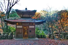 愛宕念仏寺の紅葉 2026