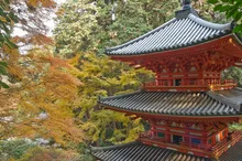 岩船寺の紅葉 2026
