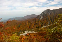 大山(大山寺エリア)の紅葉 2026