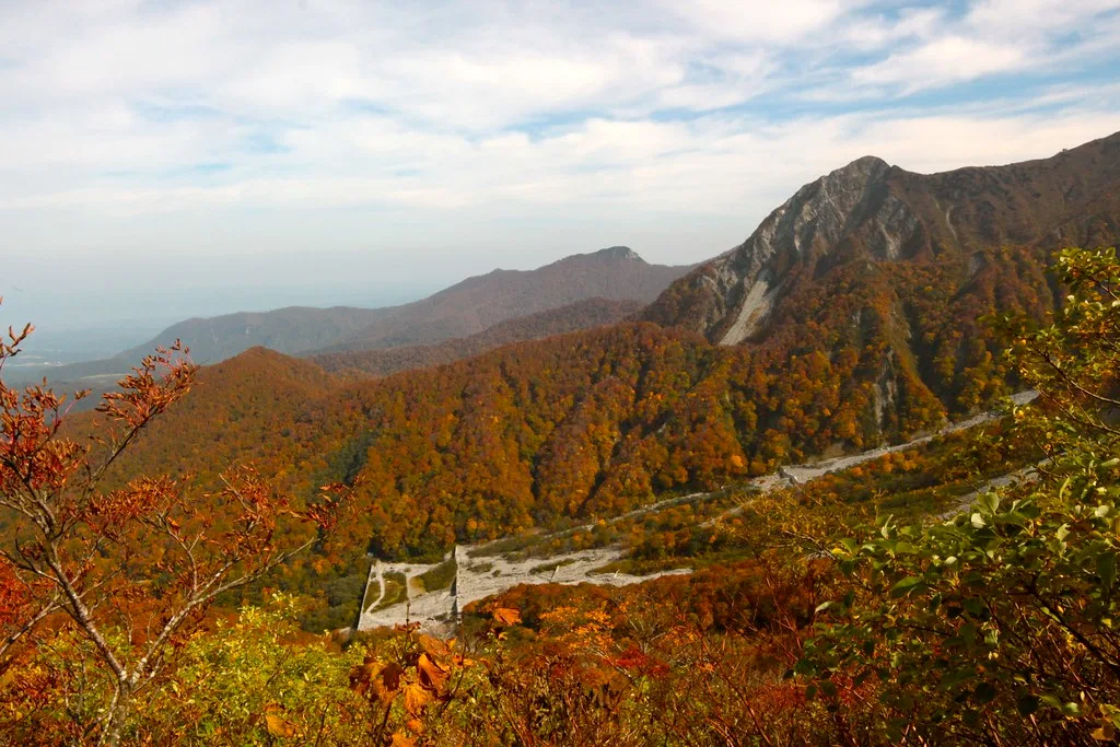 大山(大山寺エリア)の紅葉 2026