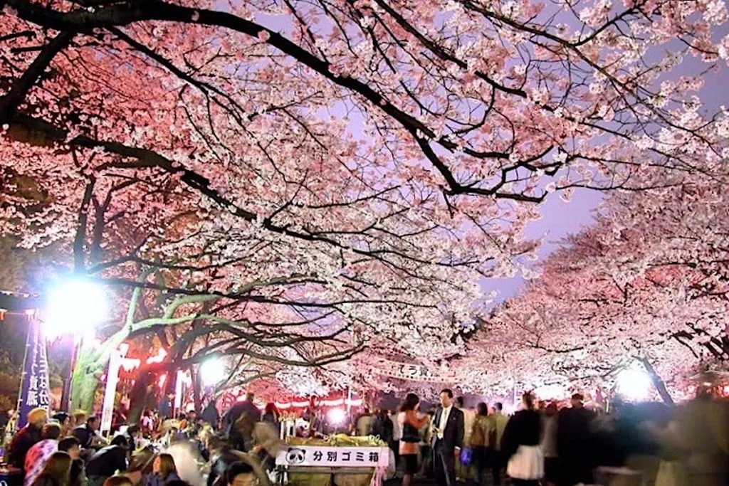 うえの桜まつり2027