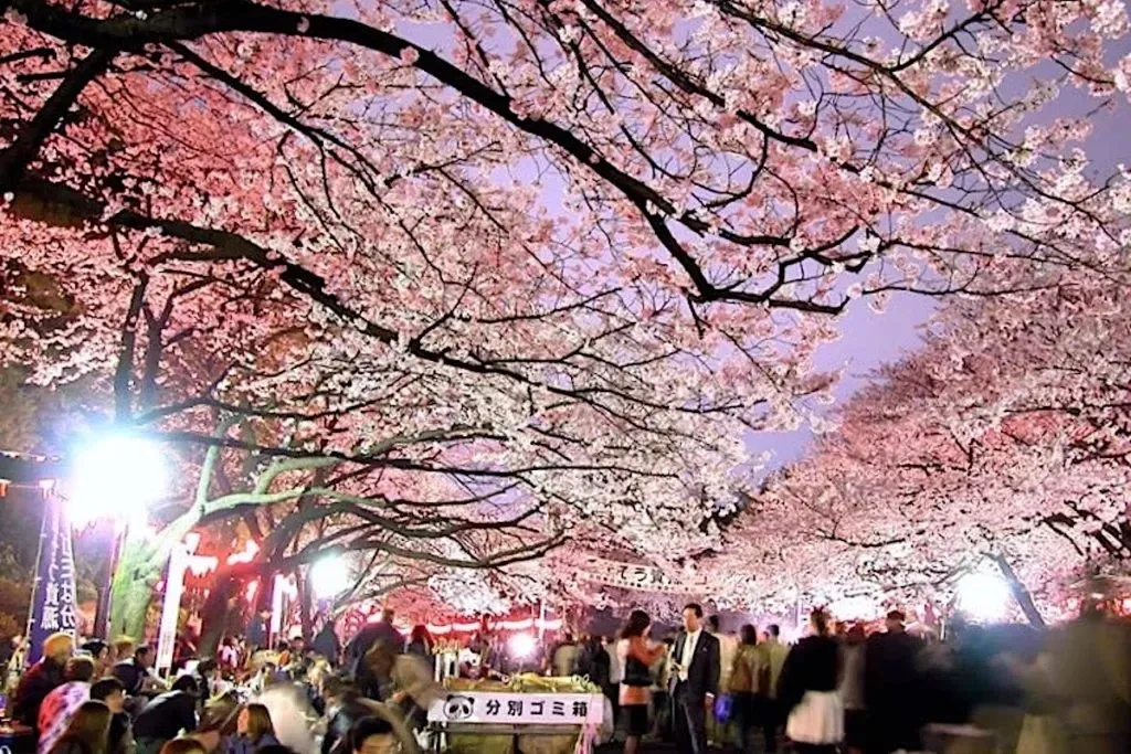 うえの桜まつり2027