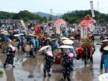 壬生の花田植 2027