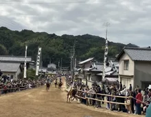 お供馬の走り込み 2026