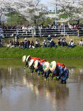 香取神宮御田植祭 2027