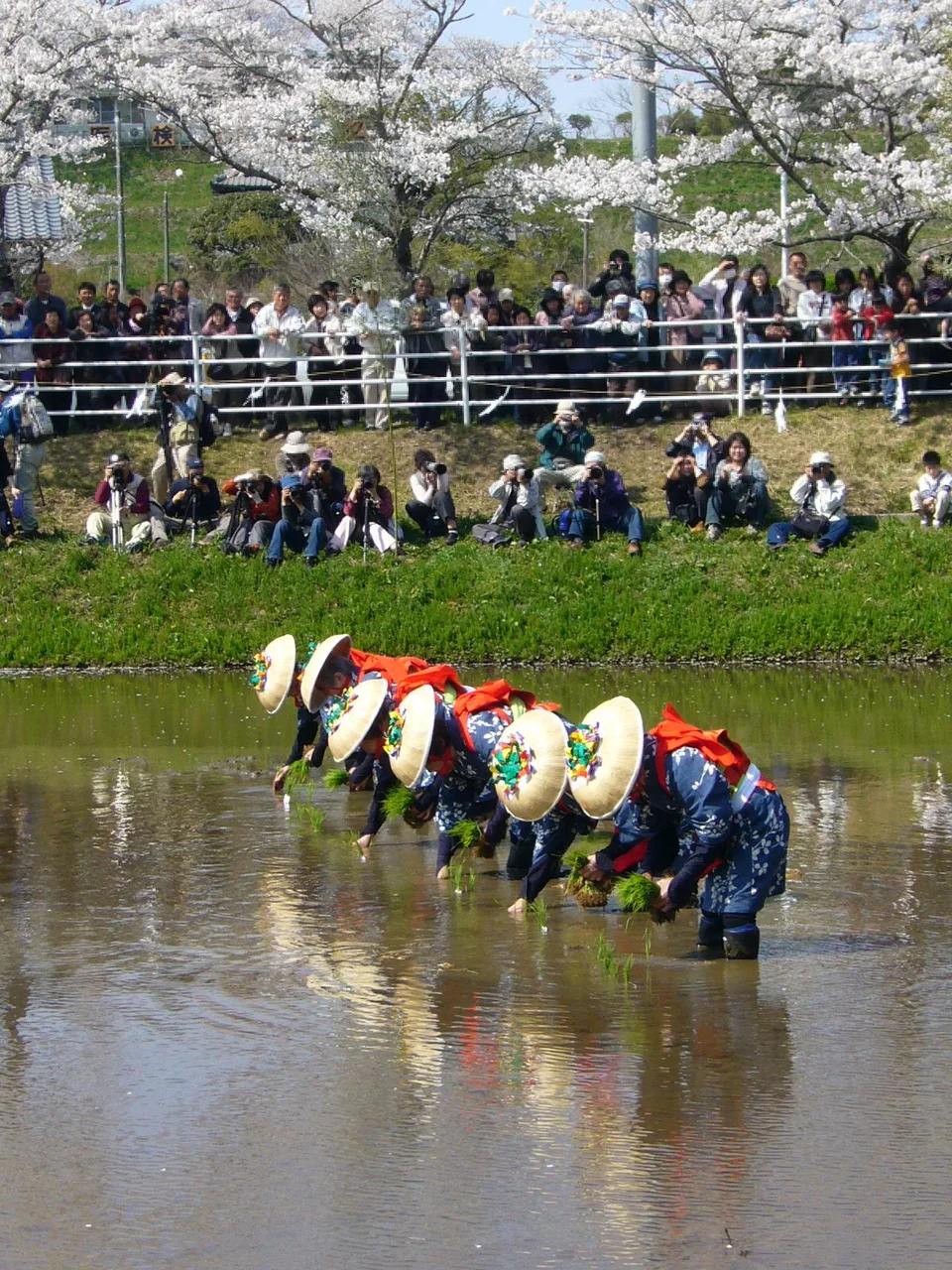 香取神宮御田植祭 2027