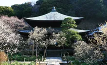 瑞泉寺の紅葉 2026
