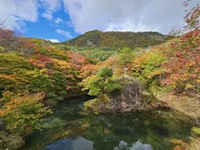 紅葉山公園の紅葉 2026