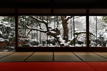 宝泉院の紅葉 2026