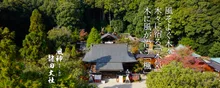 龍田大社の紅葉 2026