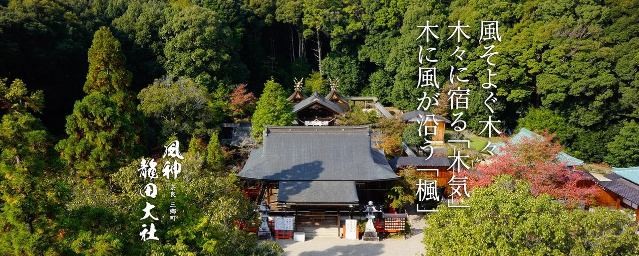 龍田大社の紅葉 2026