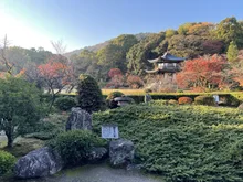 勧修寺の紅葉 2026