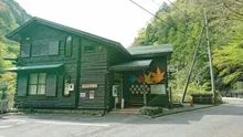 みたらい渓谷の紅葉 2026