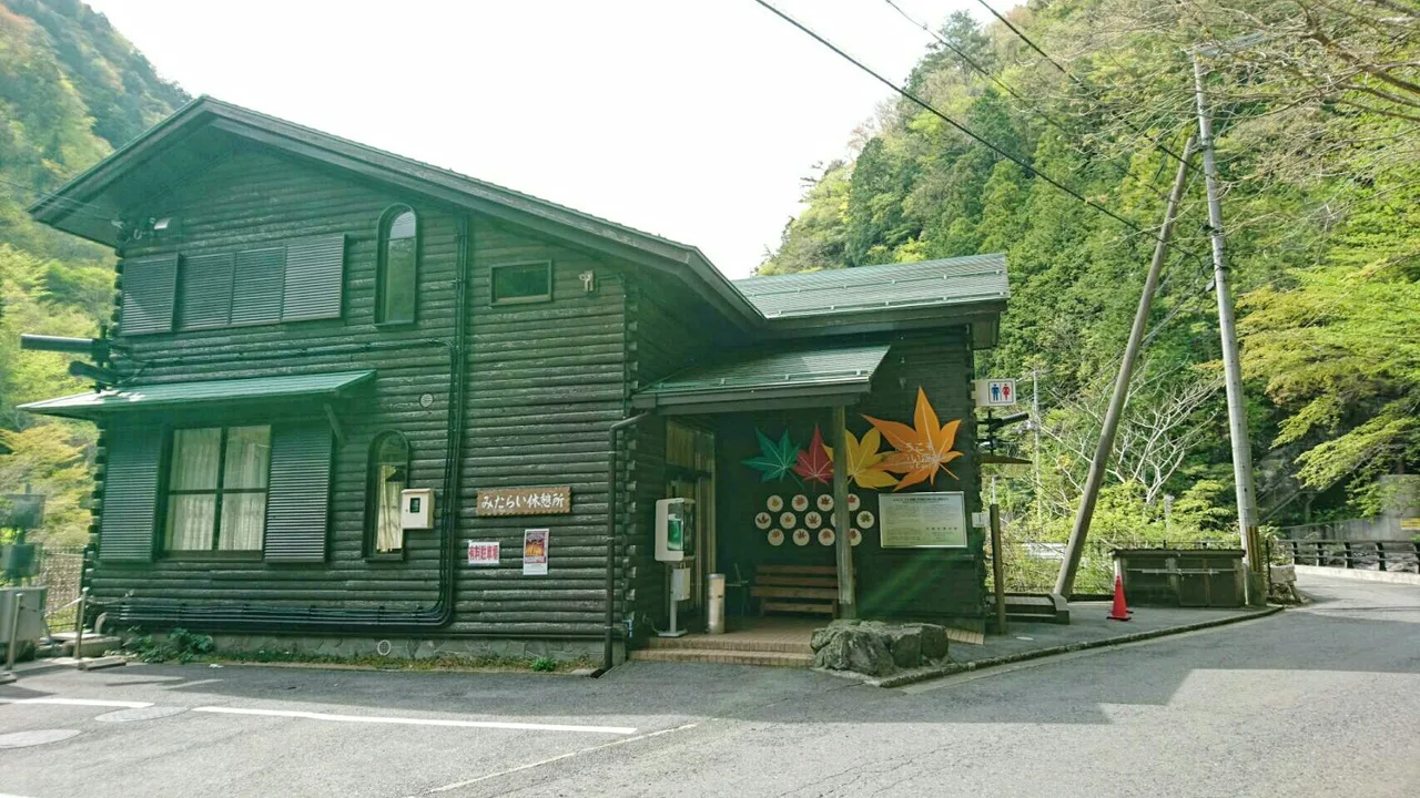 みたらい渓谷の紅葉 2026