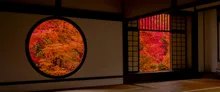 源光庵の紅葉 2026