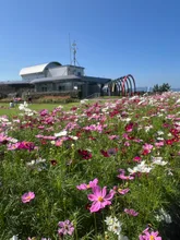 寺山秋まつり 2026